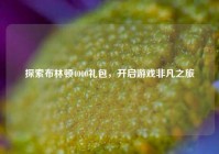 探索布林顿4000礼包，开启游戏非凡之旅