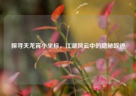 探寻天龙宵小坐标，江湖风云中的隐秘踪迹