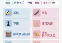 mrbrain怎么操作？超详细步骤图文教程！
