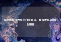 探秘虚拟世界中的白金账号，虚拟世界中的白金钥匙