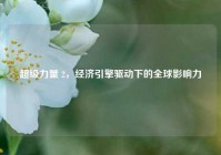超级力量 2，经济引擎驱动下的全球影响力