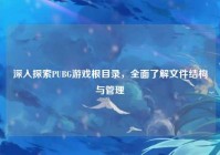 深入探索PUBG游戏根目录，全面了解文件结构与管理