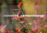 火山石幼龙攻略，征服神秘幼龙的全面指南
