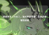 绝地求生（PUBG），加大声音设置，沉浸战场掌控战局