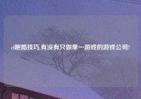 cf跑酷技巧,有没有只做单一游戏的游戏公司?