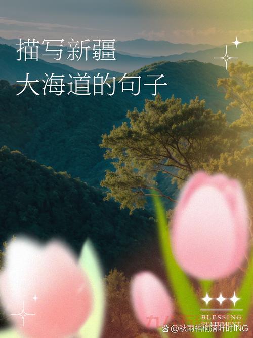 热砂之乐园攻略指南：揭开阿姆斯王国的神秘之旅