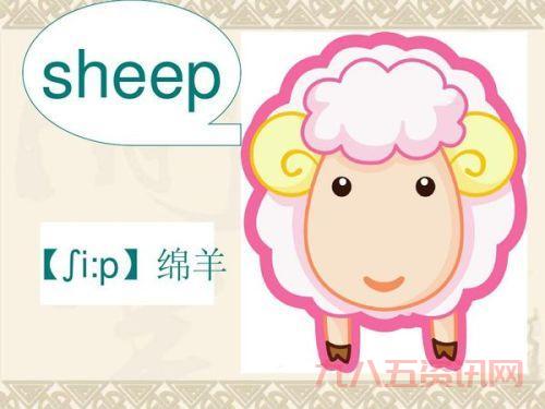 了解sheep的复数：简单易懂的解答