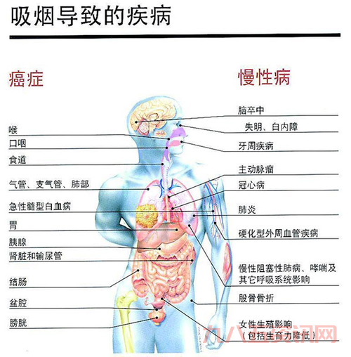 新精神活性物质解析：它对健康的危害有哪些？