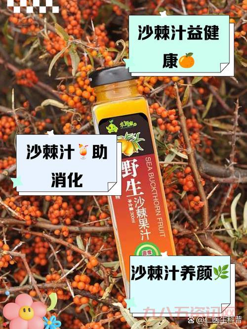听说支付宝卖沙棘汁很方便？分享在支付宝购买沙棘汁的体验。