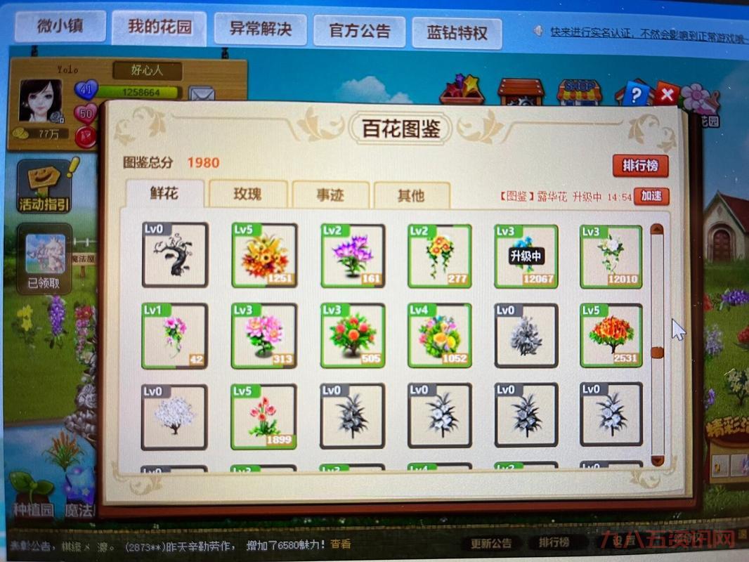 qq玫瑰小镇伴侣怎么弄？新手教程一看就会！