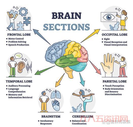 mrbrain怎么操作？超详细步骤图文教程！