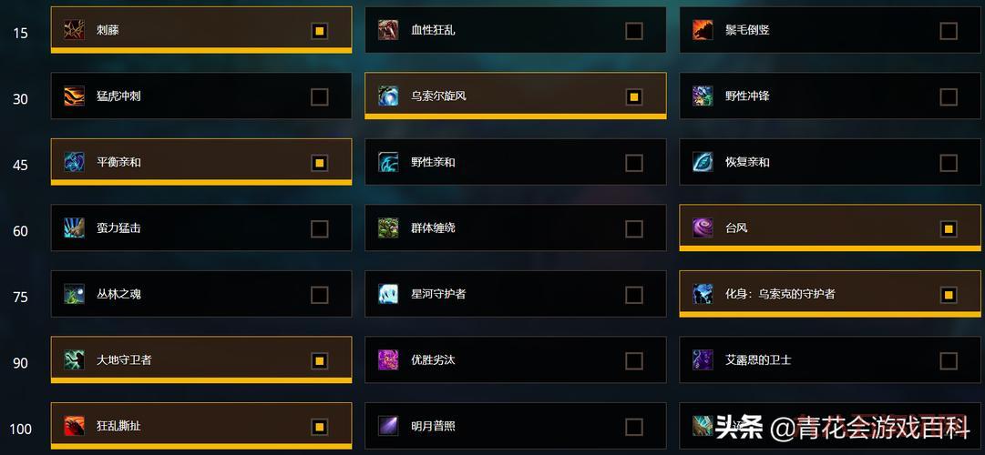 wow上面的熊技能有哪些?不同天赋玩法分析!