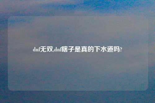 dnf无双,dnf瞎子是真的下水道吗?