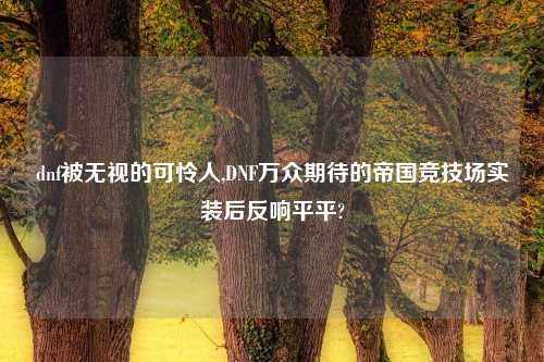 dnf被无视的可怜人,DNF万众期待的帝国竞技场实装后反响平平?