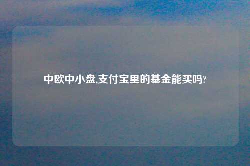 中欧中小盘,支付宝里的基金能买吗?