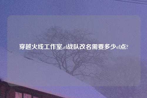 穿越火线工作室,cf战队改名需要多少cf点?