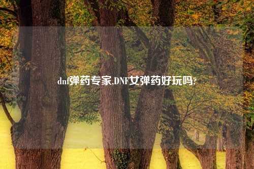 dnf弹药专家,DNF女弹药好玩吗?