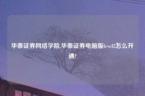 华泰证券网络学院,华泰证券电脑版level2怎么开通?
