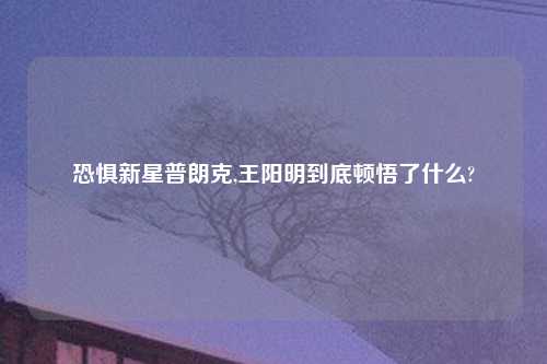恐惧新星普朗克,王阳明到底顿悟了什么?