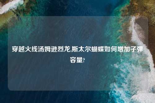 穿越火线汤姆逊烈龙,斯太尔蝴蝶如何增加子弹容量?