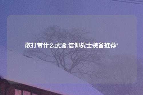 散打带什么武器,信仰战士装备推荐?