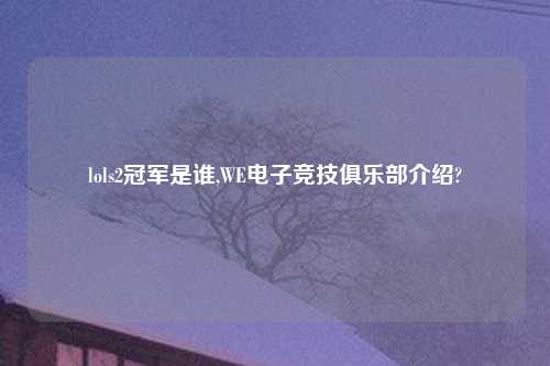 lols2冠军是谁,WE电子竞技俱乐部介绍?