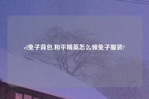 cf兔子背包,和平精英怎么领兔子服装?