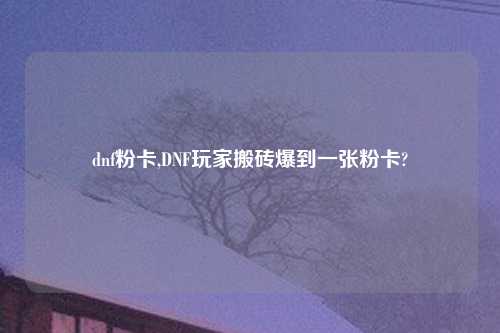 dnf粉卡,DNF玩家搬砖爆到一张粉卡?
