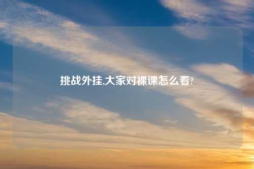 挑战外挂,大家对裸课怎么看?