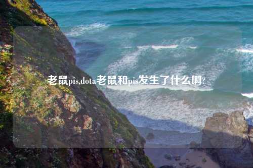 老鼠pis,dota老鼠和pis发生了什么啊?
