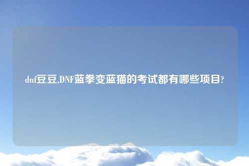 dnf豆豆,DNF蓝拳变蓝猫的考试都有哪些项目?