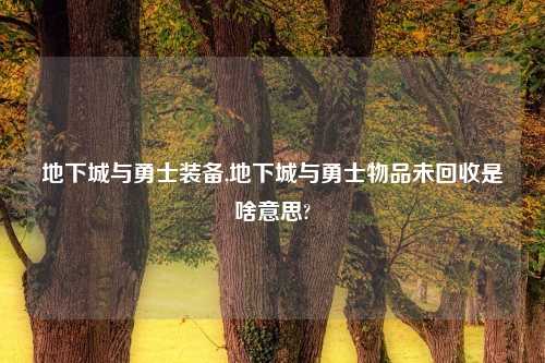 地下城与勇士装备,地下城与勇士物品未回收是啥意思?