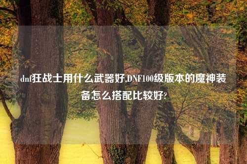 dnf狂战士用什么武器好,DNF100级版本的魔神装备怎么搭配比较好?