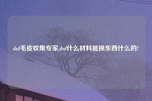 dnf毛皮收集专家,dnf什么材料能换东西什么的?