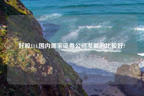 好股114,国内哪家证券公司发展的比较好?