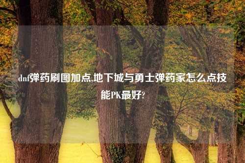 dnf弹药刷图加点,地下城与勇士弹药家怎么点技能PK最好?