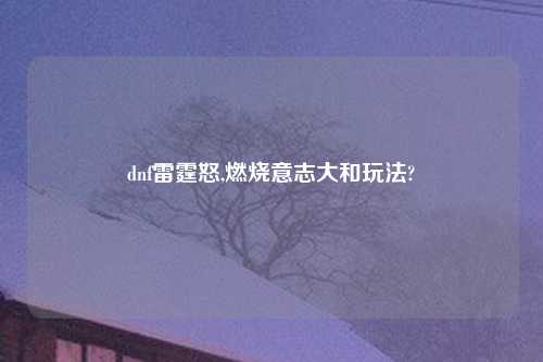 dnf雷霆怒,燃烧意志大和玩法?