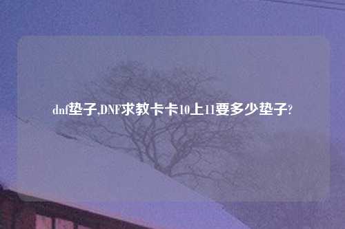 dnf垫子,DNF求教卡卡10上11要多少垫子?