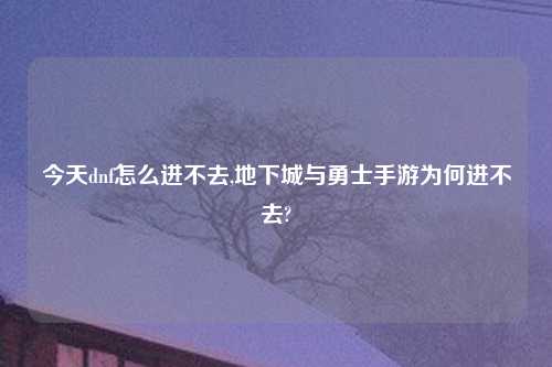 今天dnf怎么进不去,地下城与勇士手游为何进不去?
