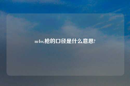 m4ss,枪的口径是什么意思?