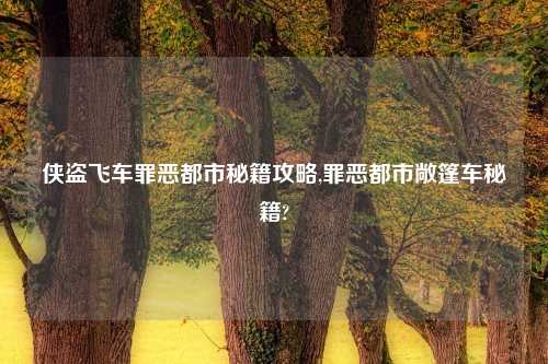 侠盗飞车罪恶都市秘籍攻略,罪恶都市敞篷车秘籍?