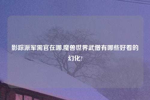 影踪派军需官在哪,魔兽世界武僧有哪些好看的幻化?
