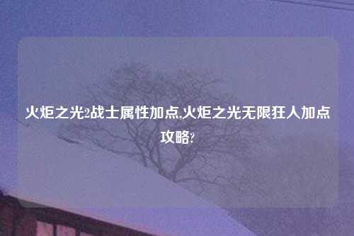火炬之光2战士属性加点,火炬之光无限狂人加点攻略?