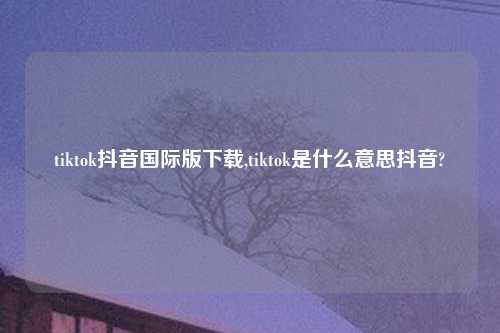 tiktok抖音国际版怎么玩,tiktok是什么意思抖音?