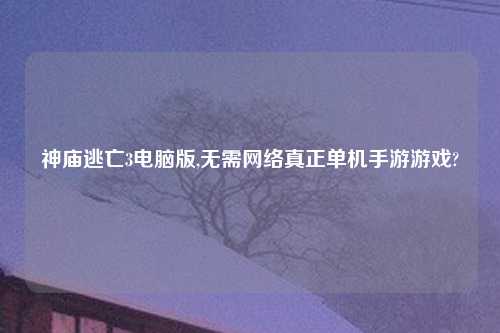 神庙逃亡3电脑版,无需网络真正单机手游游戏?
