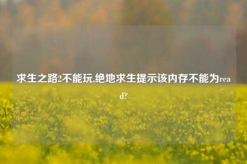 求生之路2不能玩,绝地求生提示该内存不能为read?