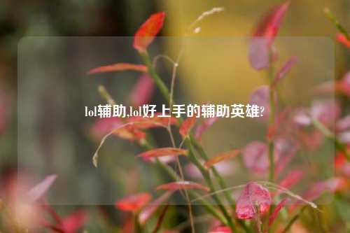 lol帮助,lol好上手的帮助英雄?