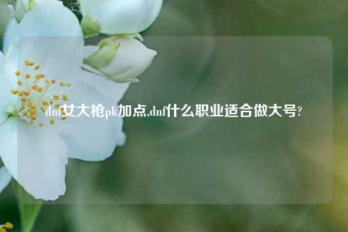 dnf女大枪pk加点,dnf什么职业适合做大号?