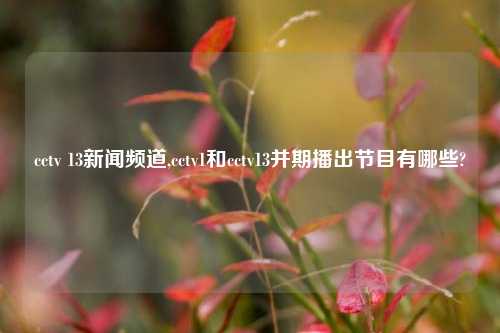 cctv 13新闻频道,cctv1和cctv13并期播出节目有哪些?