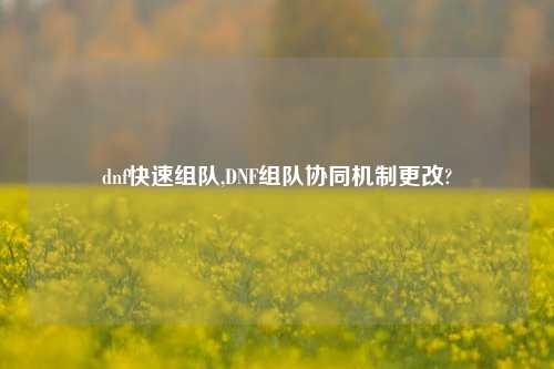 dnf快速组队,DNF组队协同机制更改?
